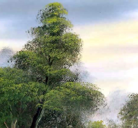 股民赚钱极端案例