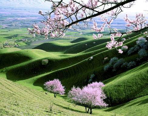 相机店怎么经营赚钱的项目