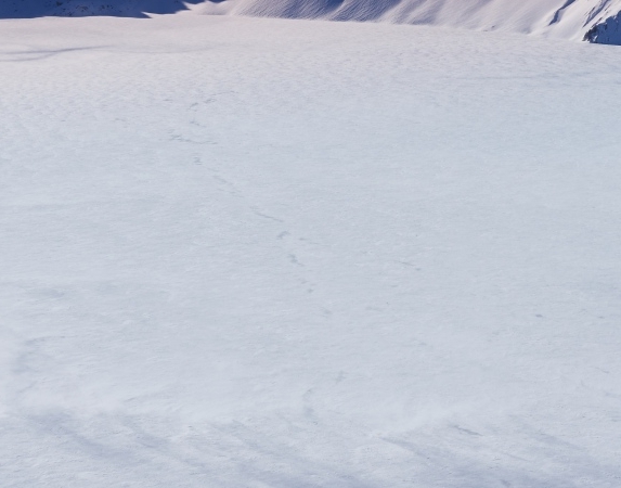 梦幻西游一小时赚100万