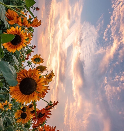 洁净车间检测项目