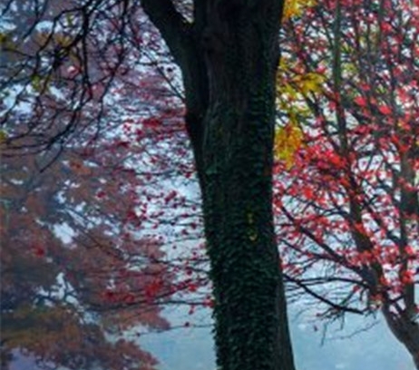 刷题怎样有效赚钱方法