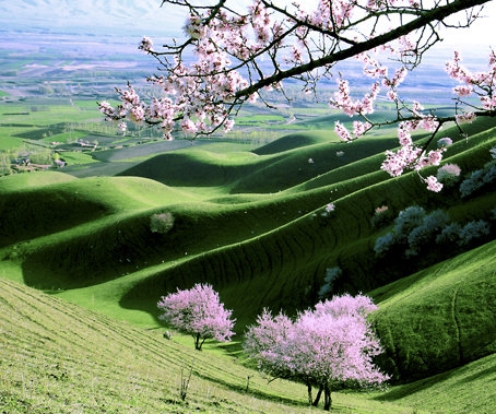 如何成为剪辑大神赚钱方法