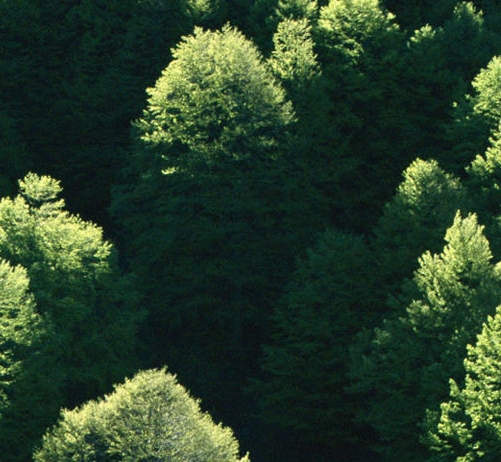 做项目没钱赚钱了咋办呀