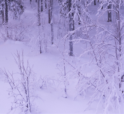 怎样抓住市场热点做龙头