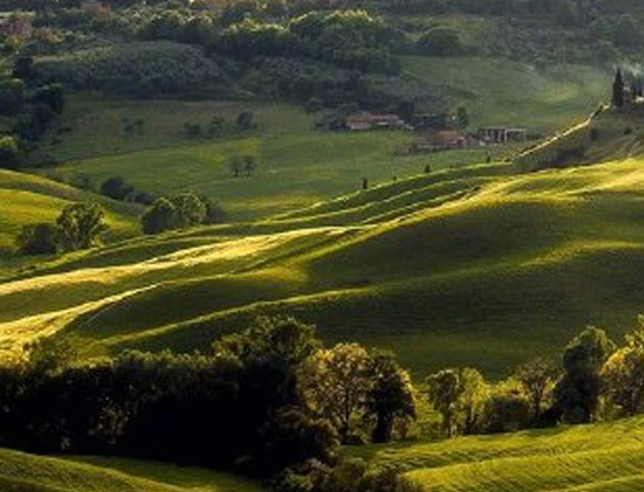 网上怎么写文案挣钱