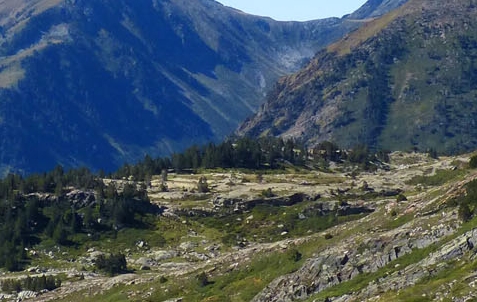 不能充钱的游戏怎么盈利