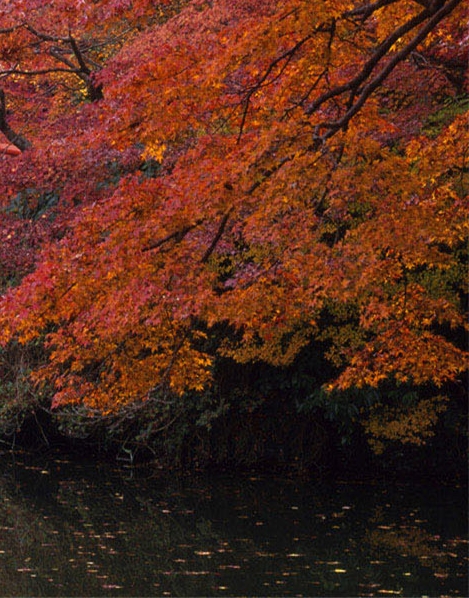 利得盈理财产品