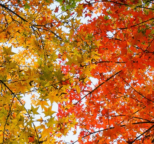 上门推销财神爷赚钱吗