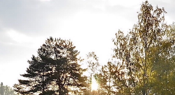 故事投稿赚钱项目图片下载