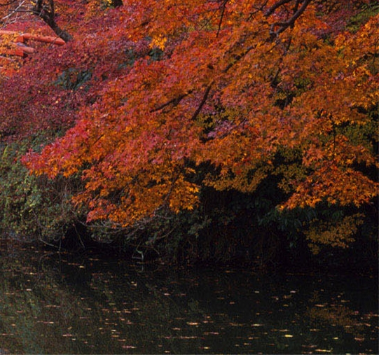 如何让夜宵店生意好起来方案