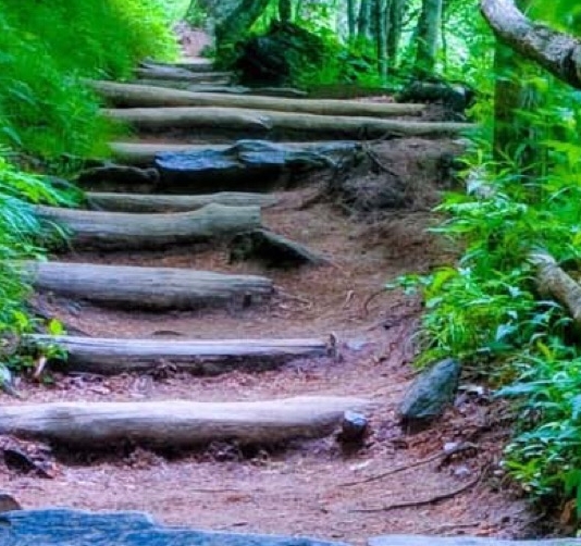 ppt模板投稿赚钱