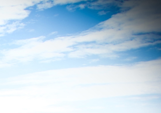 养羊赚钱心得怎么写好