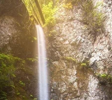 县里有什么项目可以赚钱