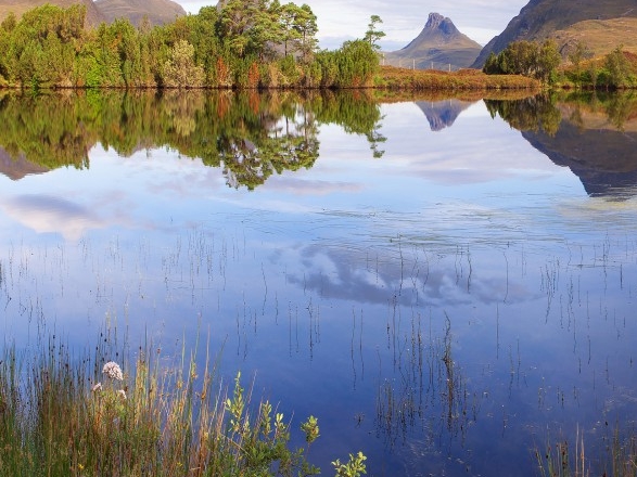 勃哈多海湾洗肠