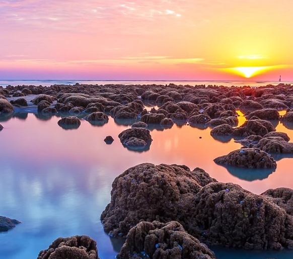 神秘直播赚钱项目名字大全