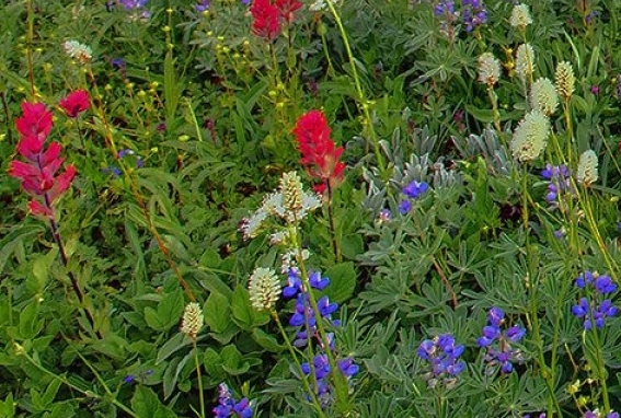 什么室内项目赚钱快又赚钱
