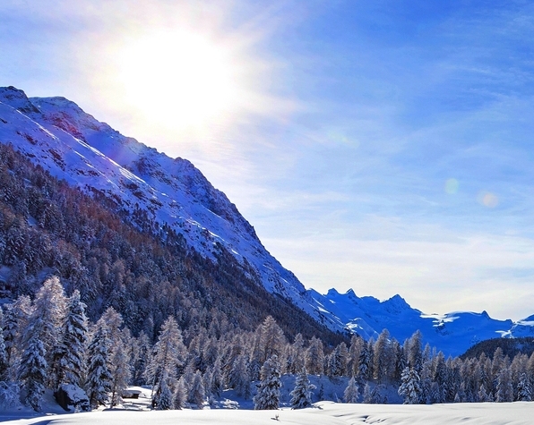 写小红书笔记怎么赚钱