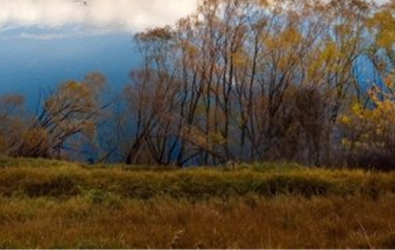 股票金融行业赚钱项目排名