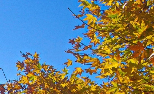 什么项目好充值快点赚钱