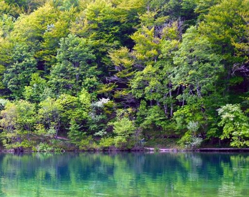 拼多多跑数据是什么意思