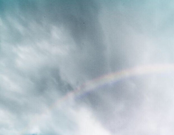 滑草项目赚钱吗现在