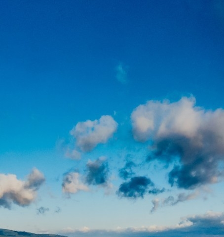 靠投机取巧赚钱的人