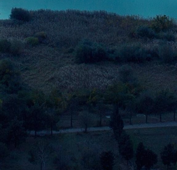 网上刷脚本赚钱的项目