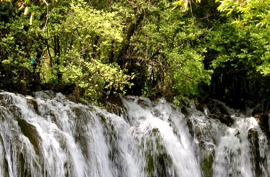 城市赚钱方法大全