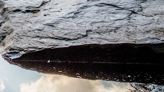 灰色产业赚钱的好路子