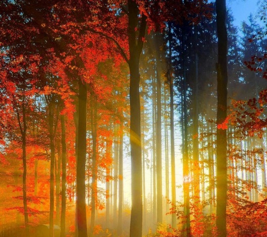 赚钱游戏哪个赚钱多又快