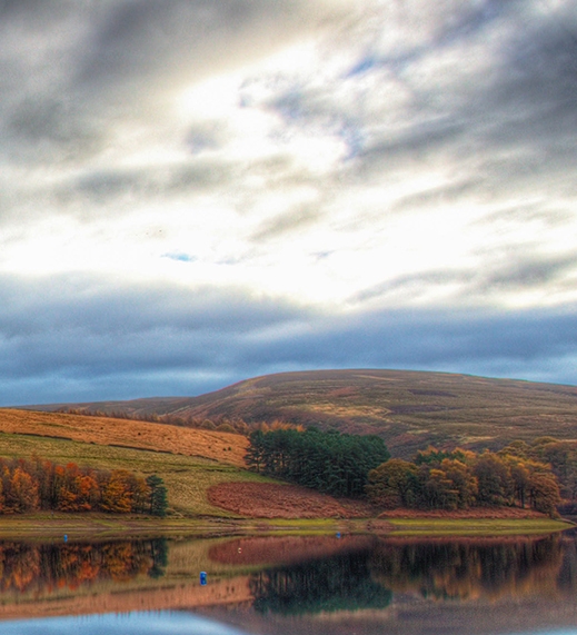 赚钱的项目抖音怎么赚钱