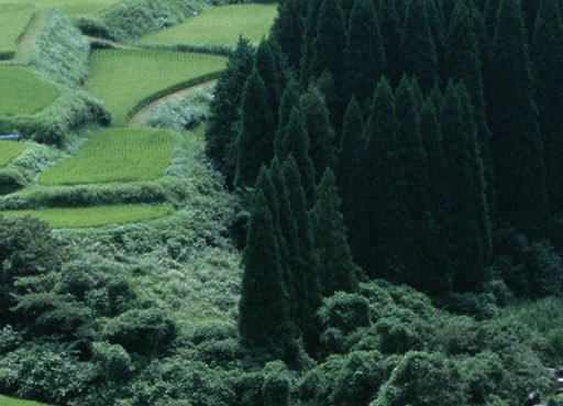 自助赚钱 项目是什么