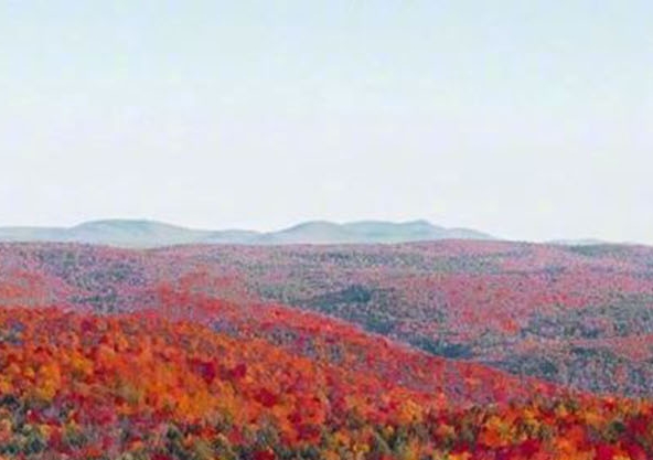 电工赚钱方法视频教程