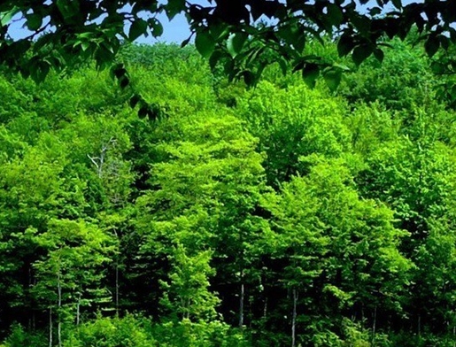 分享读书心得能赚钱不