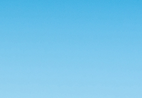 摘茶叶赚钱项目简介范文