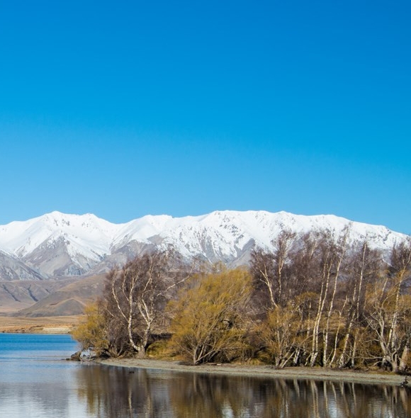 怎么做生意才能赚钱