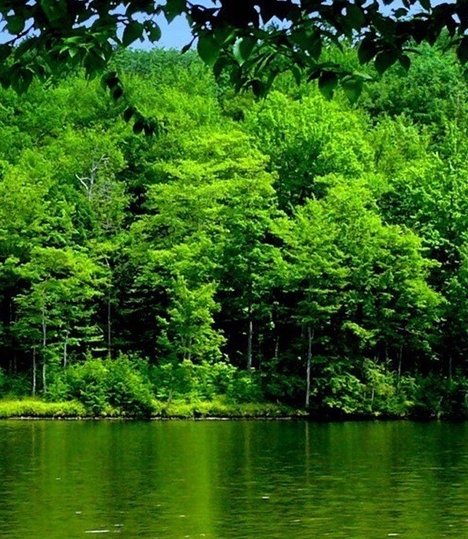 深圳破产案件成功案例