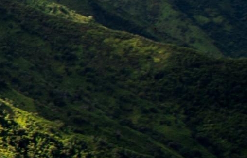 农村什么游乐项目可以赚钱