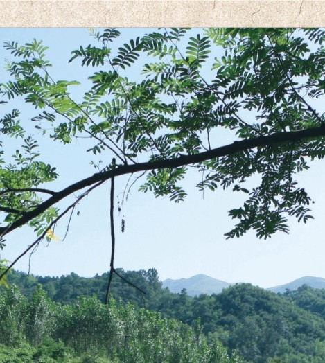 赚钱游戏方法大全最新