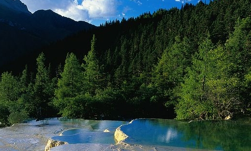 行业赚钱成功案例