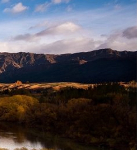 梦幻帮派赚钱心得