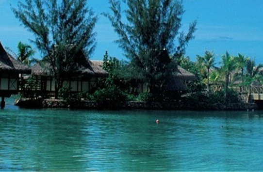 原神哪里刷钱快