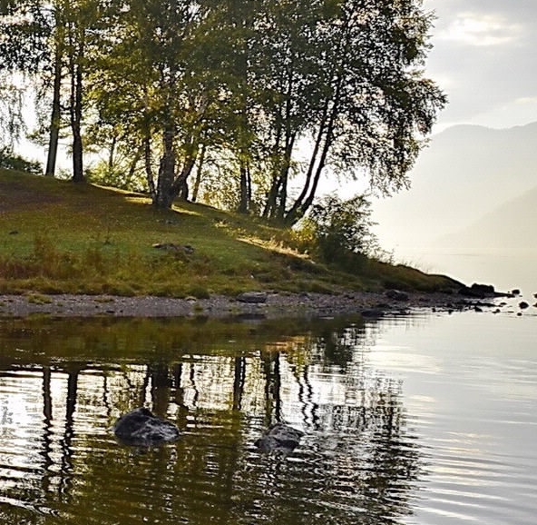童鞋赚钱方法大全
