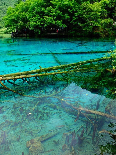 如何靠专利赚钱