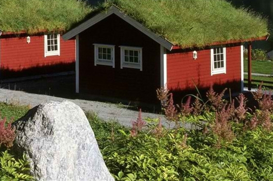 夫妻开店做项目赚钱不赚钱