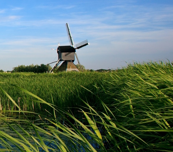 云浮赚钱项目加盟条件