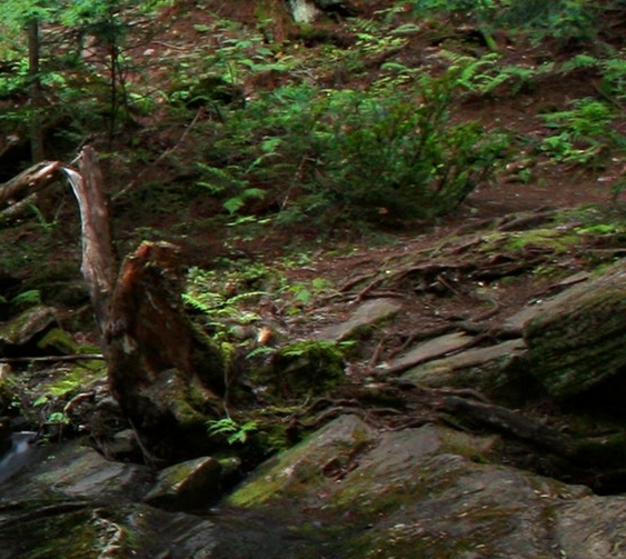 铜币的鉴定方法有哪些