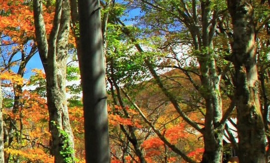 深圳允许个人破产意味着什么
