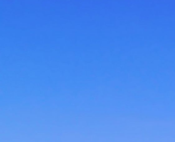 靠杨洋赚钱的方法