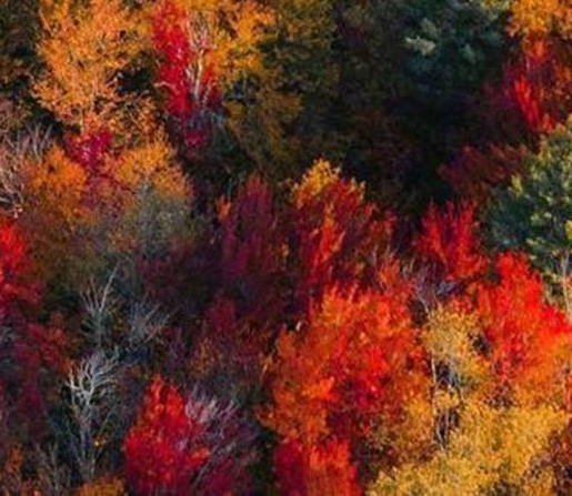 老年人室内娱乐项目